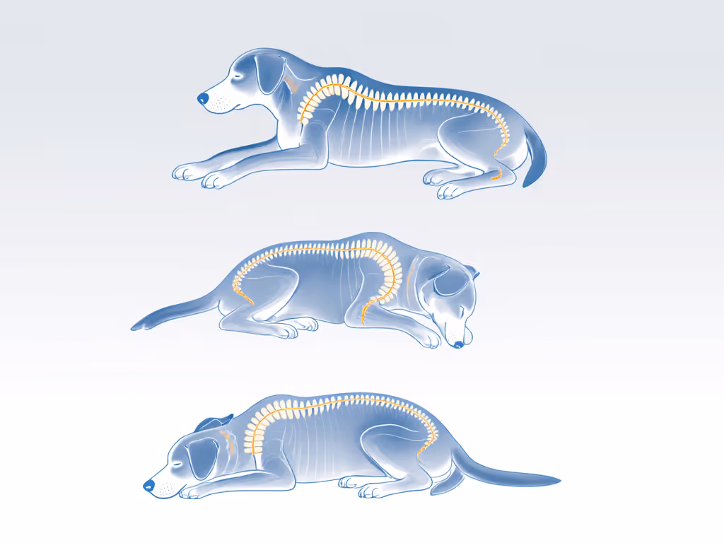sleep_posture_mapping_diagram
