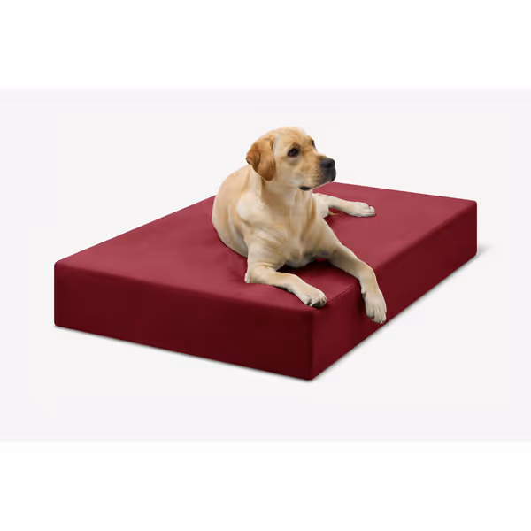 Barker Beds Large Orthopedic Dog Bed