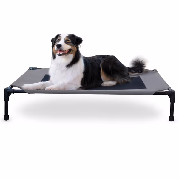 K&H Pet Products Outdoor Elevated Dog Cot