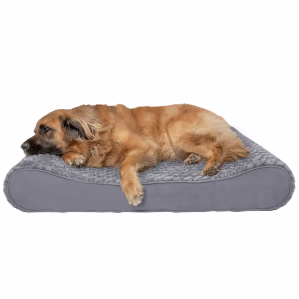 Furhaven Orthopedic XXL Luxe Lounger Dog Bed