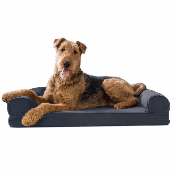 Furhaven Memory Foam Dog Bed