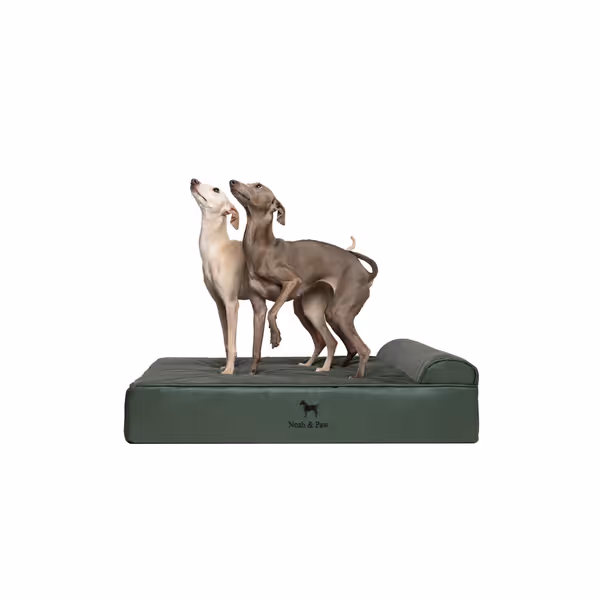 NOAH & PAW Large Orthopedic Dog Bed