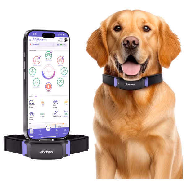 PetPace AI Smart Dog Health Monitor V3.0